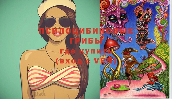 гашик Абинск