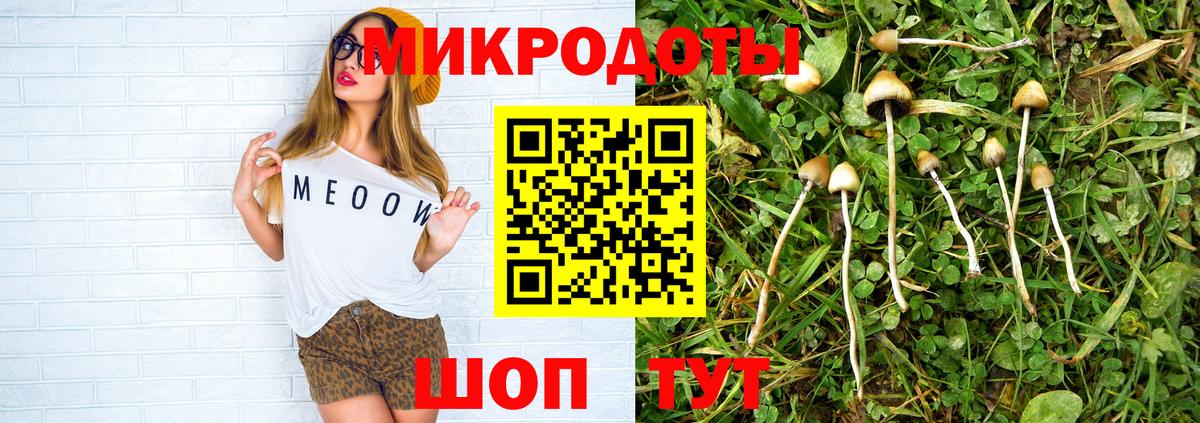 Псилоцибиновые грибы Psilocybe Избербаш