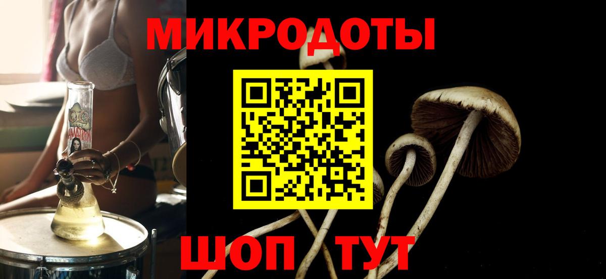 Избербаш  где можно купить наркотик  Вход с VPN  Псилоцибиновые грибы мицелий 
